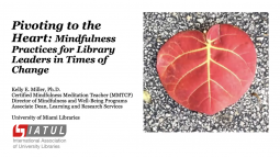 © IATUL SIG-L Webinar
