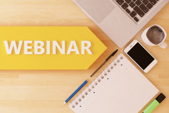 Critical Perspectives on Data Literacy. The Role of the Information Literacy Librarian. Webinar